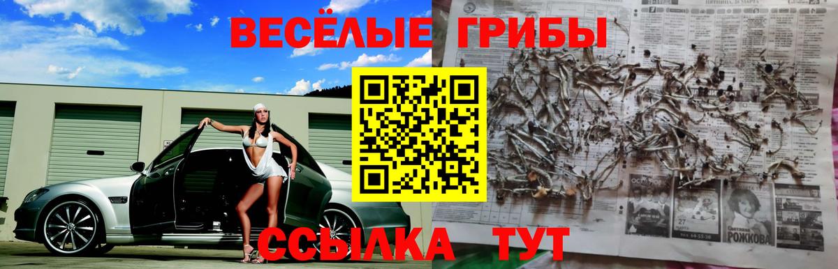 Галлюциногенные грибы Psilocybine cubensis Верхняя Пышма