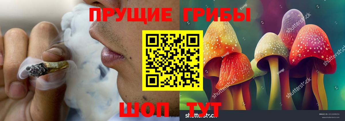 Псилоцибиновые грибы мицелий  Псилоцибиновые грибы прущие грибы  Вход с VPN  Верхняя Пышма 